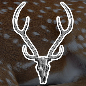 Axis Deer Skull Sticker